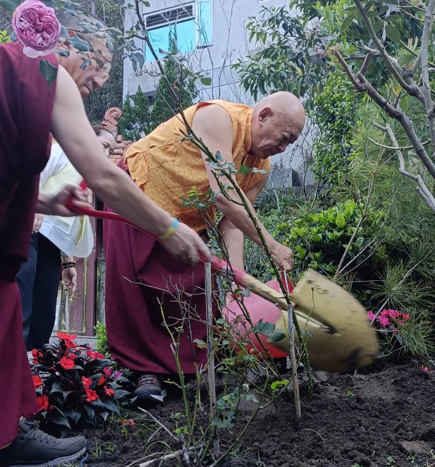 ▲藏傳佛教直貢澈贊法王在釋迦牟尼佛涅槃日為神木谷及台灣原生種五葉松樹苗加持祝福期望再創千年傳奇。(記者林明佑翻攝)