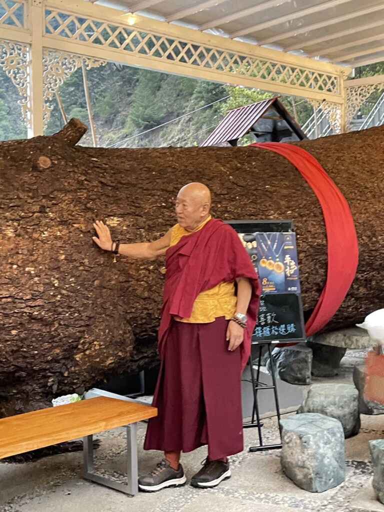 ▲約有一層樓高度的千年神木主幹以天然養護方式留置原處開放參觀,昔日曾在神樹下弘法的直貢法王也來憑弔。(記者林明佑翻攝)
