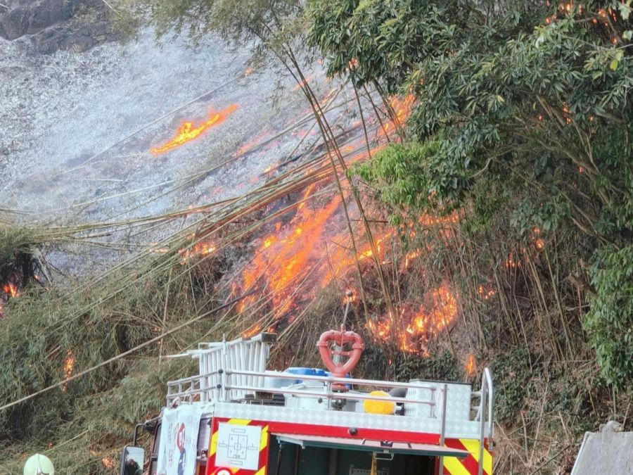 苗栗公墓內草地突竄大火 警消馳援搶救發現疑似焦黑人體