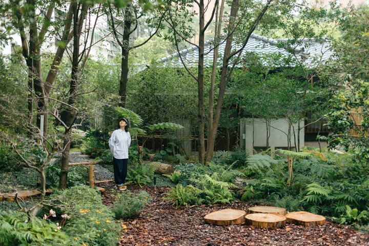 風華再現／城市中的山林入口 「0km 山物所」讓總督府山林課宿舍群華麗轉身