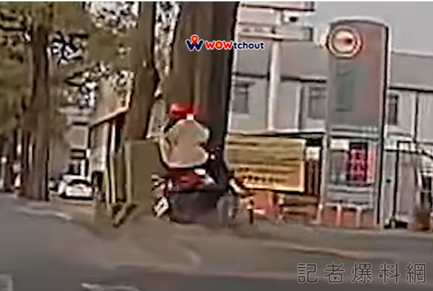 撞樹 女騎士 三寶 車禍