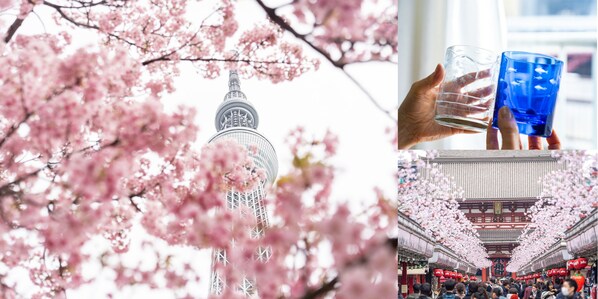左:每年春天,東京晴空塔®附近的隅田川櫻花盛放,該區域成為深受日本國內外遊客歡迎的遊覽目的地。右上:東京晴空塔特別推出優惠套票「SKYTREE ENJOY PACK」,便可體驗江戶切子玻璃雕刻。右下:東京晴空塔與淺草的距離也不遠 左:每年春天,東京晴空塔®附近的隅田川櫻花盛放,該區域成為深受日本國內外遊客歡迎的遊覽目的地。右上:東京晴空塔特別推出優惠套票「SKYTREE ENJOY PACK」,便可體驗江戶切子玻璃雕刻。右下:東京晴空塔與淺草的距離也不遠