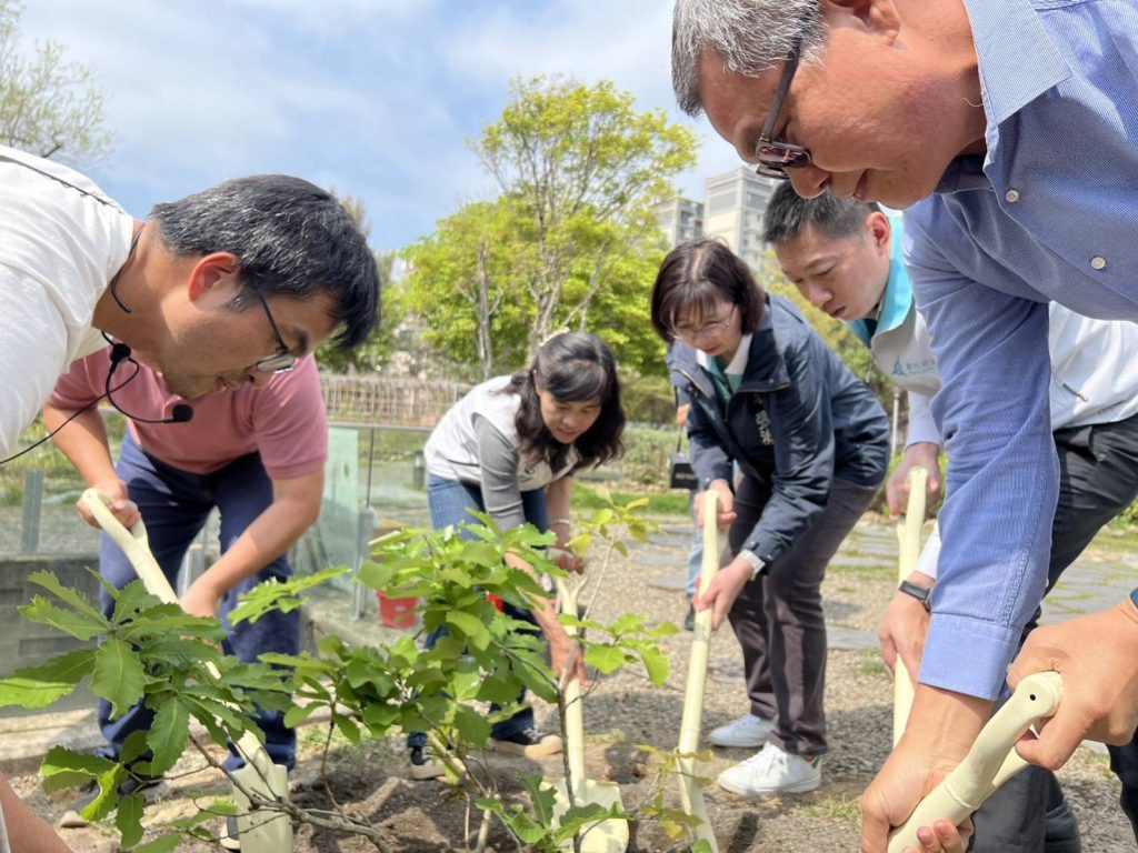 新竹市政府與林業保育署,共同在將軍村種下槲櫟樹苗,啟動新竹市瀕危植物復育。(圖/記者黃溎芬翻攝)