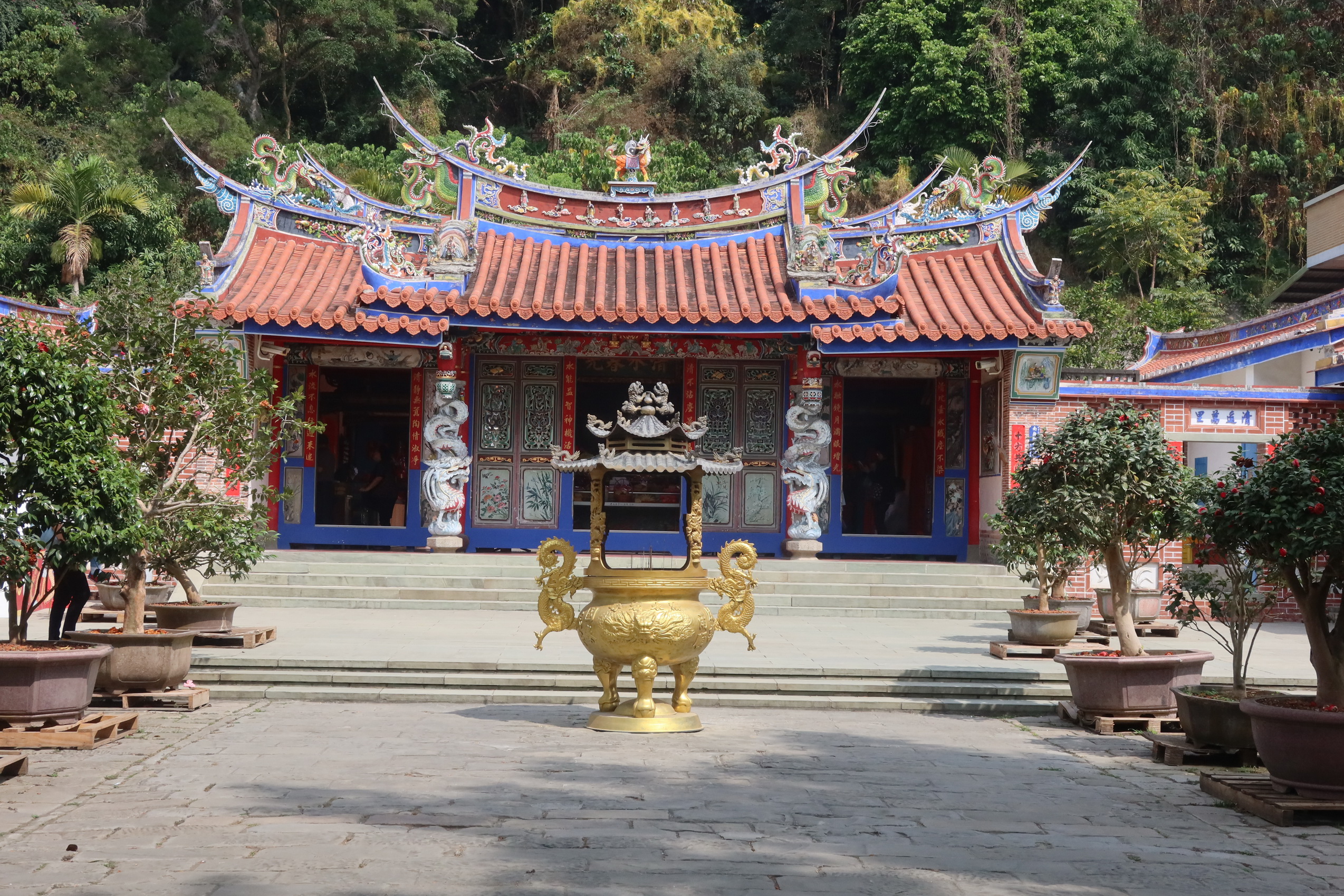 ▲觀世音菩薩誕辰，社頭鄉清水岩寺有信徒發現寺前茶樹上蜘蛛網有英文字母圖樣，信徒說，該不會來祝壽吧。（記者張溎壕攝）