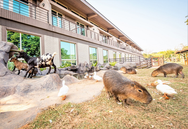 小島巡禮體驗，拜訪多種超萌動物明星共生的友善棲息地。_0