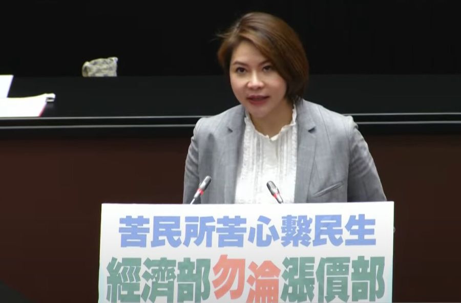 游顥籲凍漲電價有理 陳菁徽酸民進黨讓人「四不一沒有」 240 陳菁徽