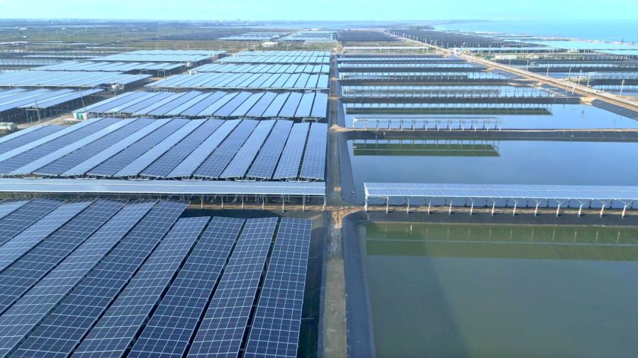 雲豹能源96%綠電轉供民間 攜手美光、玉山銀等企業達成RE100 234 雲豹能源96%綠電轉供民間 攜手美光、玉山銀等企業達成RE100 233