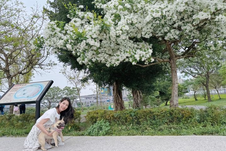 遊客可漫遊新北河濱,在陽光運動運動公園享受悠閒自在春日時光。 圖:新北市政府水利局/提供