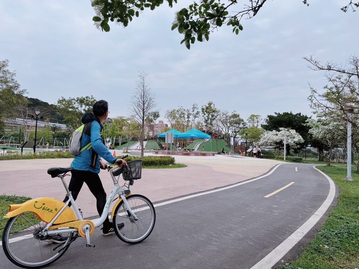 流蘇宛如雪花開 新店陽光園區迎來浪漫四月雪
