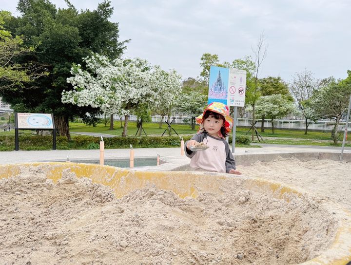 流蘇宛如雪花開 新店陽光園區迎來浪漫四月雪