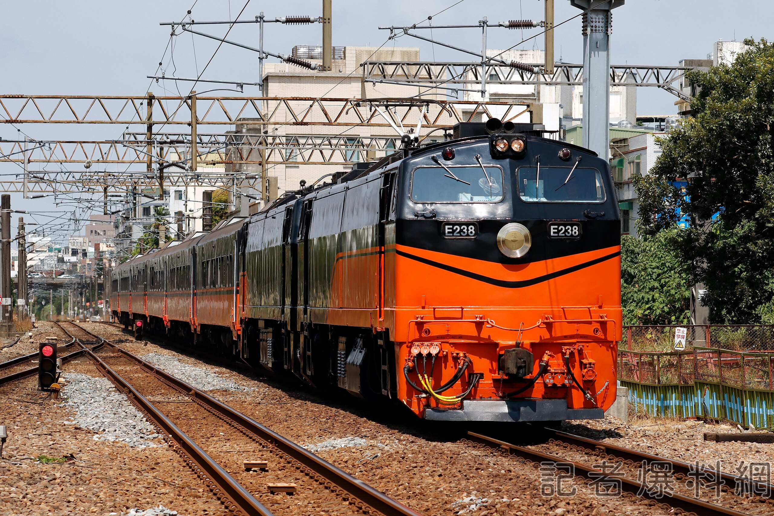 圖片翻攝 維基百科