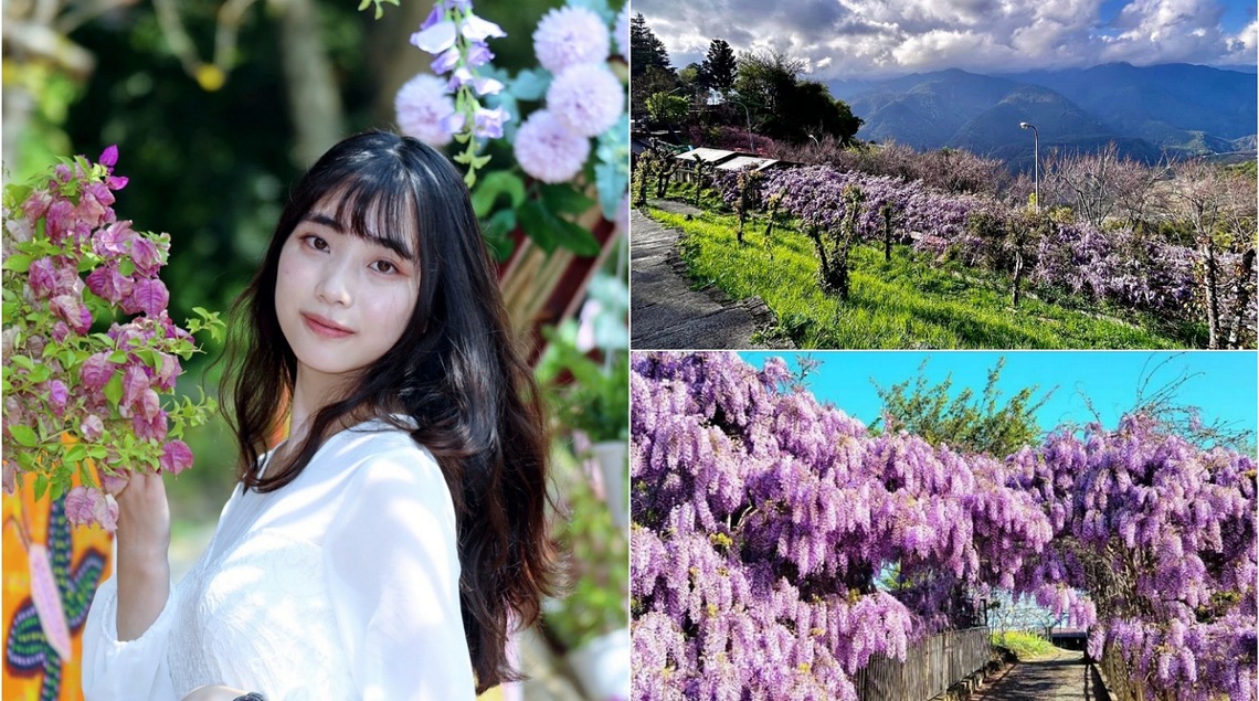 清明連假何處去 春遊參山賞百花