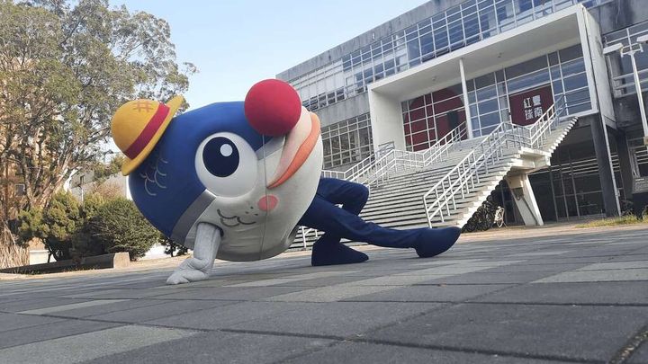 跟著魚頭君追球趣「紅球台南」歷史街區策展活動開跑