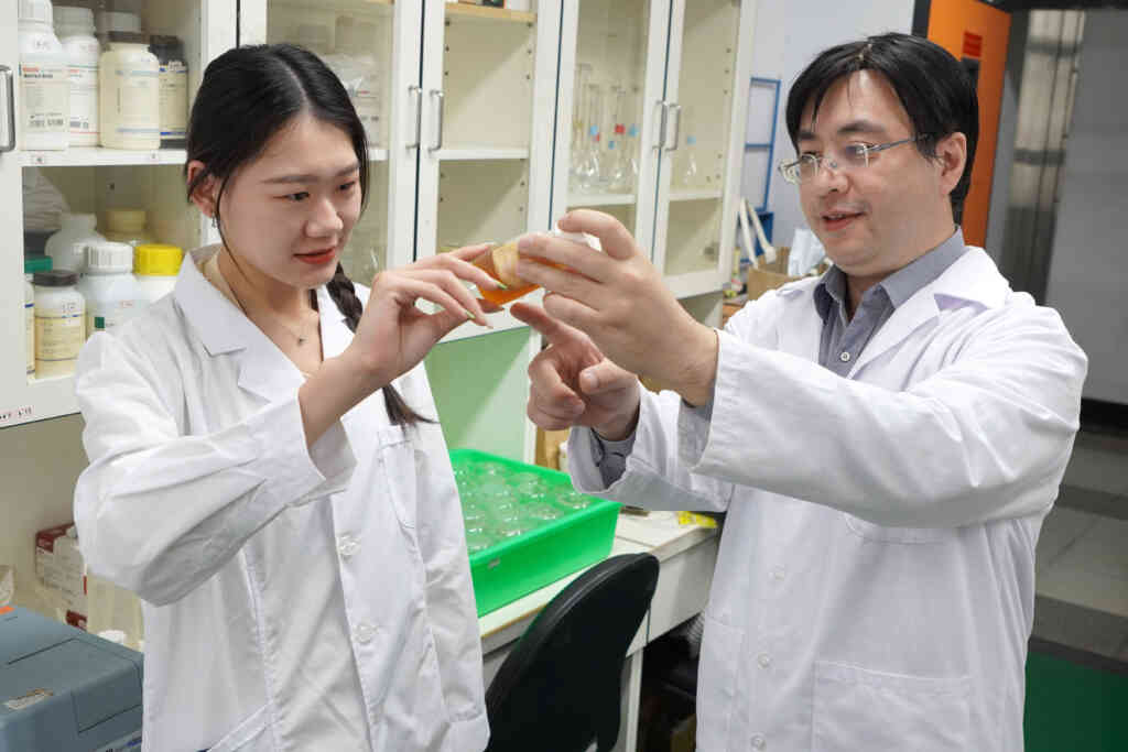 ▲大葉大學藥保系許文光老師(右)指導學生做實驗。(大葉大學提供)