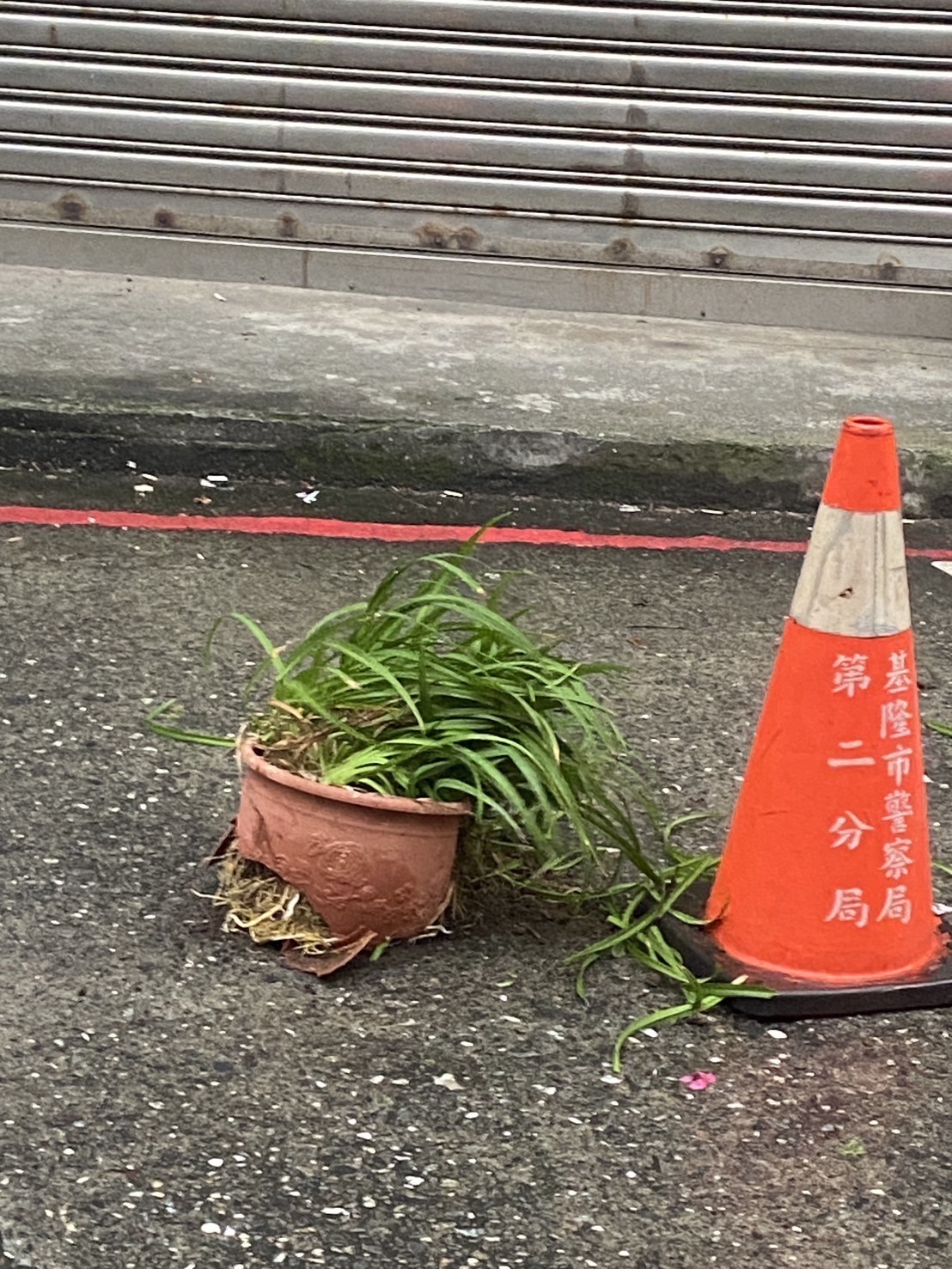 盆栽掉落路中。(記者薛秀蓮翻攝)