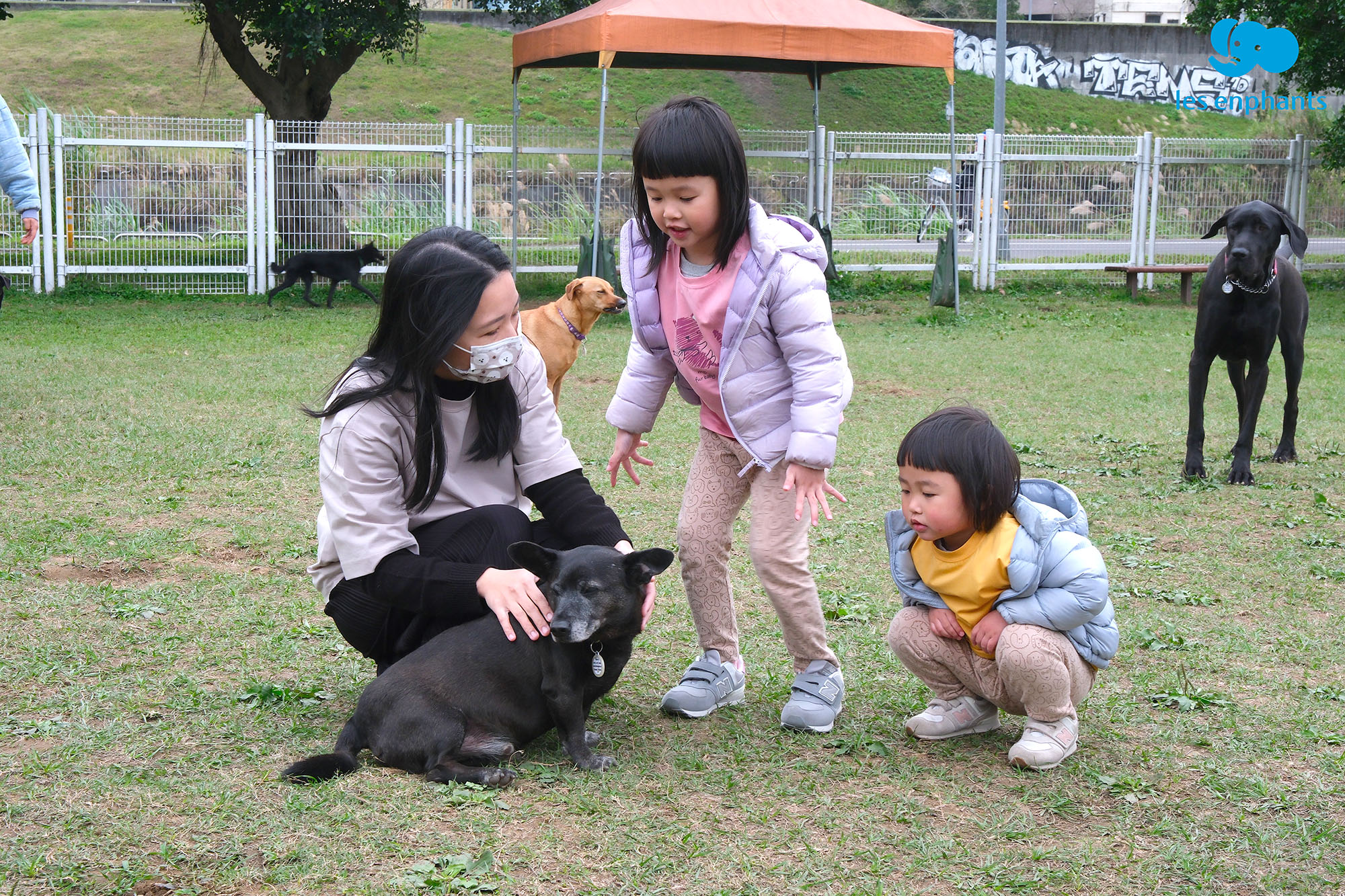 投稿北京东城区01年平时爱煮热奶茶、养小多肉，周未总喜欢去公园散步 看落叶。想找个同频的朋友，空闲时一起窝在咖啡馆看书，发现好吃的小吃店互相分享，难过时能彼此唠唠嗑。, image size:2000x1333
