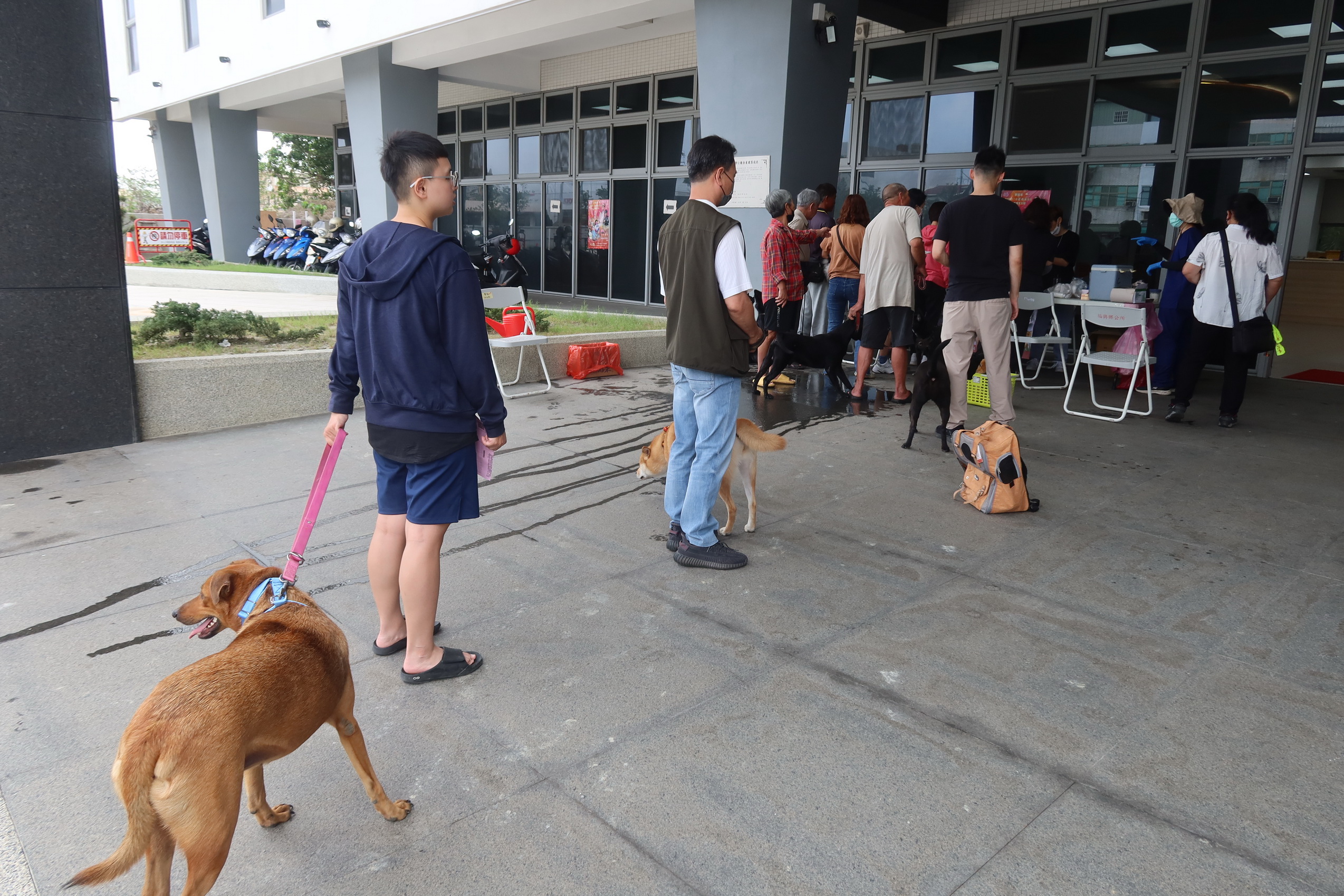 ▲福興鄉公所舉辦狂犬病預防注射，有超過100隻毛小孩前來施打預防針，顯示了飼主對此活動的支持和認可。（記者張溎壕攝）