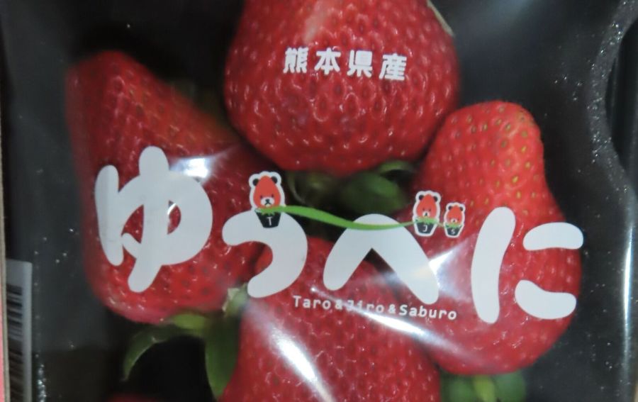 日本草莓再爆違規!禁止輸台1個月 大江生醫進中國番茄粉違法添加甜味劑 276 日本草莓再爆違規!禁止輸台1個月 大江生醫進中國番茄粉違法添加甜味劑 275