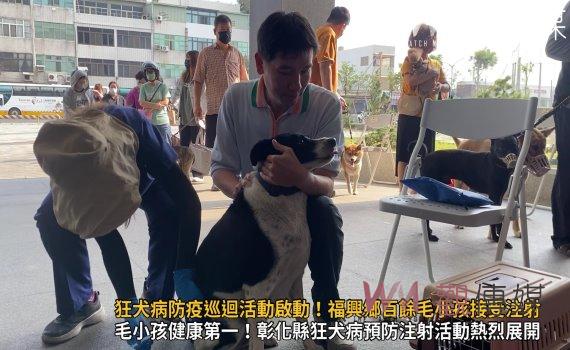 (有影片)/彰化縣狂犬病防疫巡迴活動啟動!福興鄉百餘毛小孩接受注射