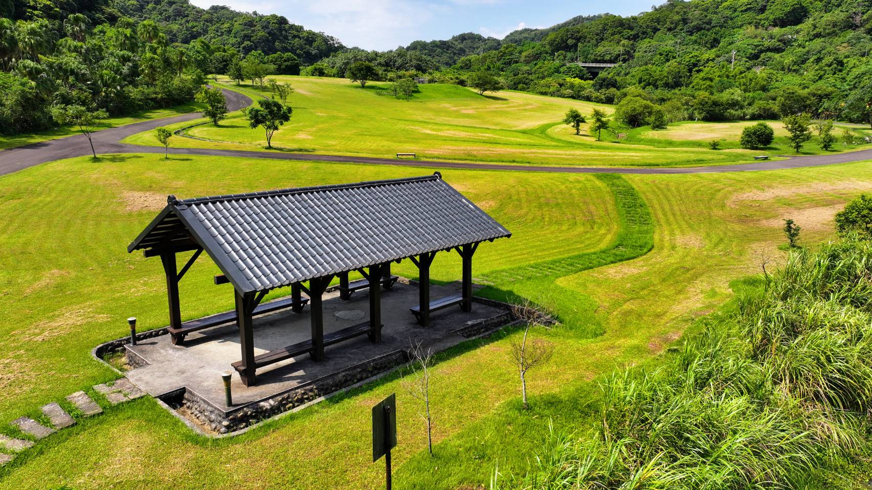 萬朵清明草爭相綻放如螺旋緞帶　山水綠生態公園綠意盎然