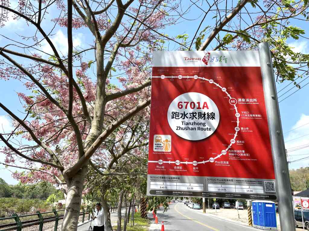 ▲搭乘台灣好行跑水求財線，至源泉派出所站下車，即抵達花旗木賞花點，輕鬆地來趟低碳旅遊。（參山處提供）