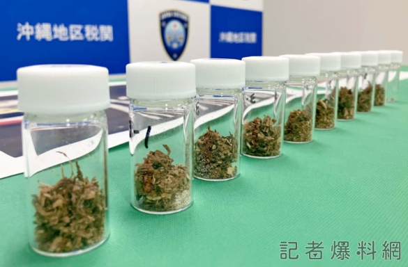 翻攝自沖繩時報