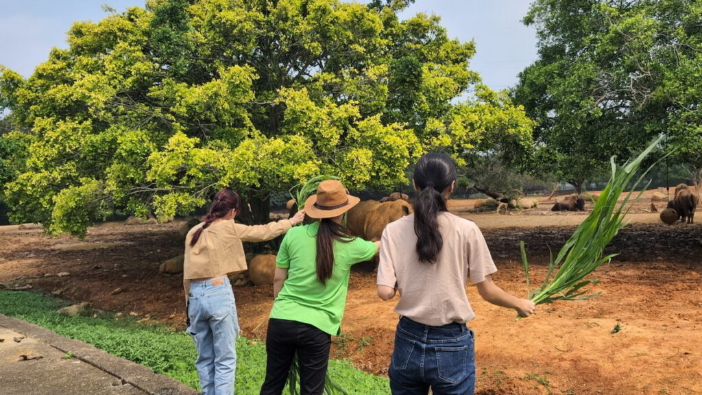 全家自駕自家車輛勇闖動物園區,探索草食獸,只在此次兒童連假檔期限量推出,先搶先贏!!