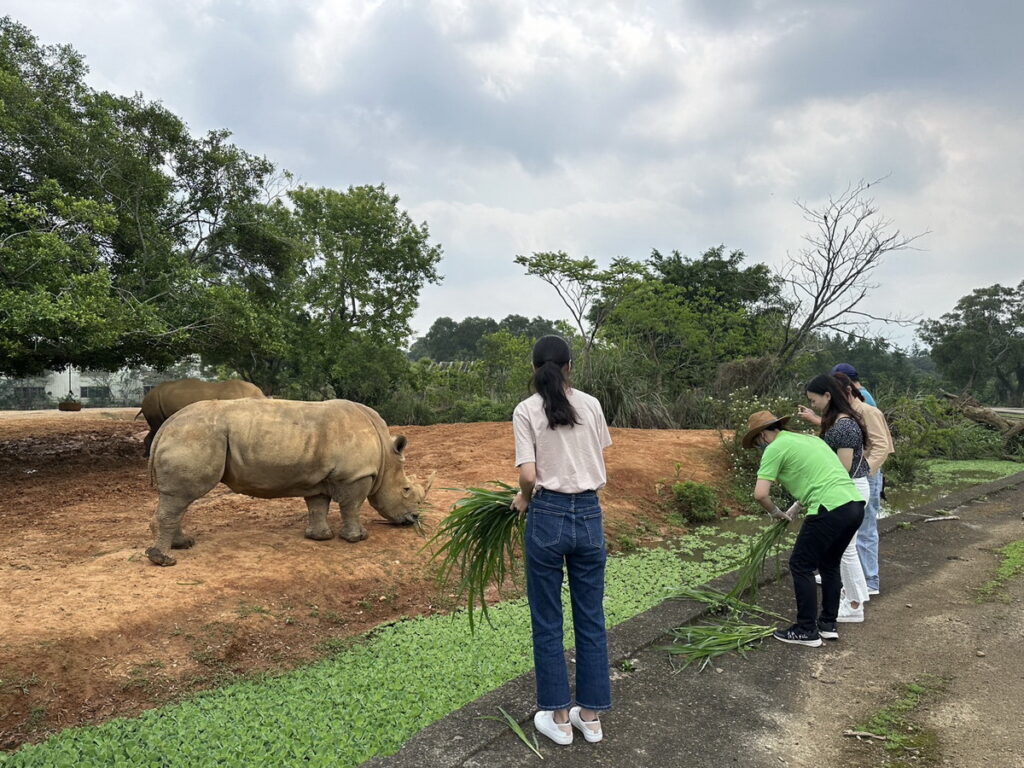 近距離觀察河馬、美洲野牛、斑馬與亞洲最大犀牛繁育基地的犀牛群,打造獨一無二的精彩回憶。活動期間每日限定開放兩個場次,每場次限量2台,每車最多4人為限,即日起開放預約,預約報名電話請洽03-5475365轉2951或2952,更多詳情請洽官方網站查詢。