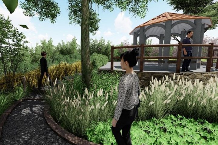 大甲鐵砧山桂花泉登山步道優化 守護珍貴台灣蒲公英棲地 