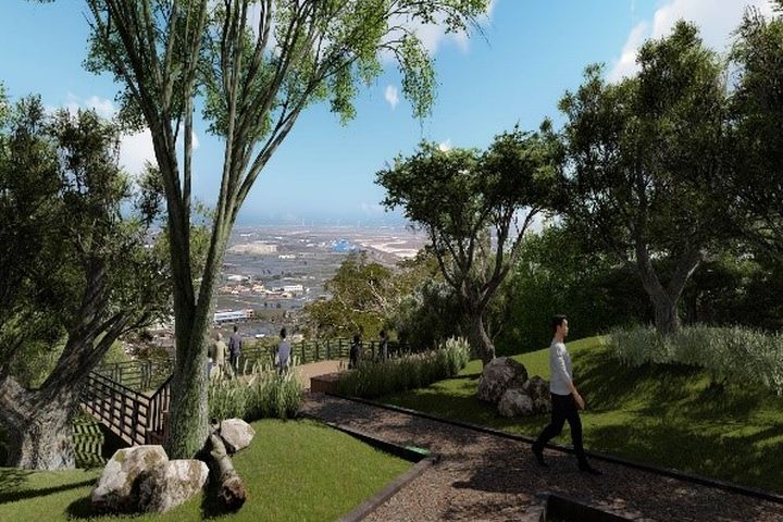 大甲鐵砧山桂花泉登山步道優化 守護珍貴台灣蒲公英棲地 