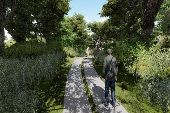 大甲鐵砧山桂花泉登山步道優化 守護珍貴台灣蒲公英棲地 