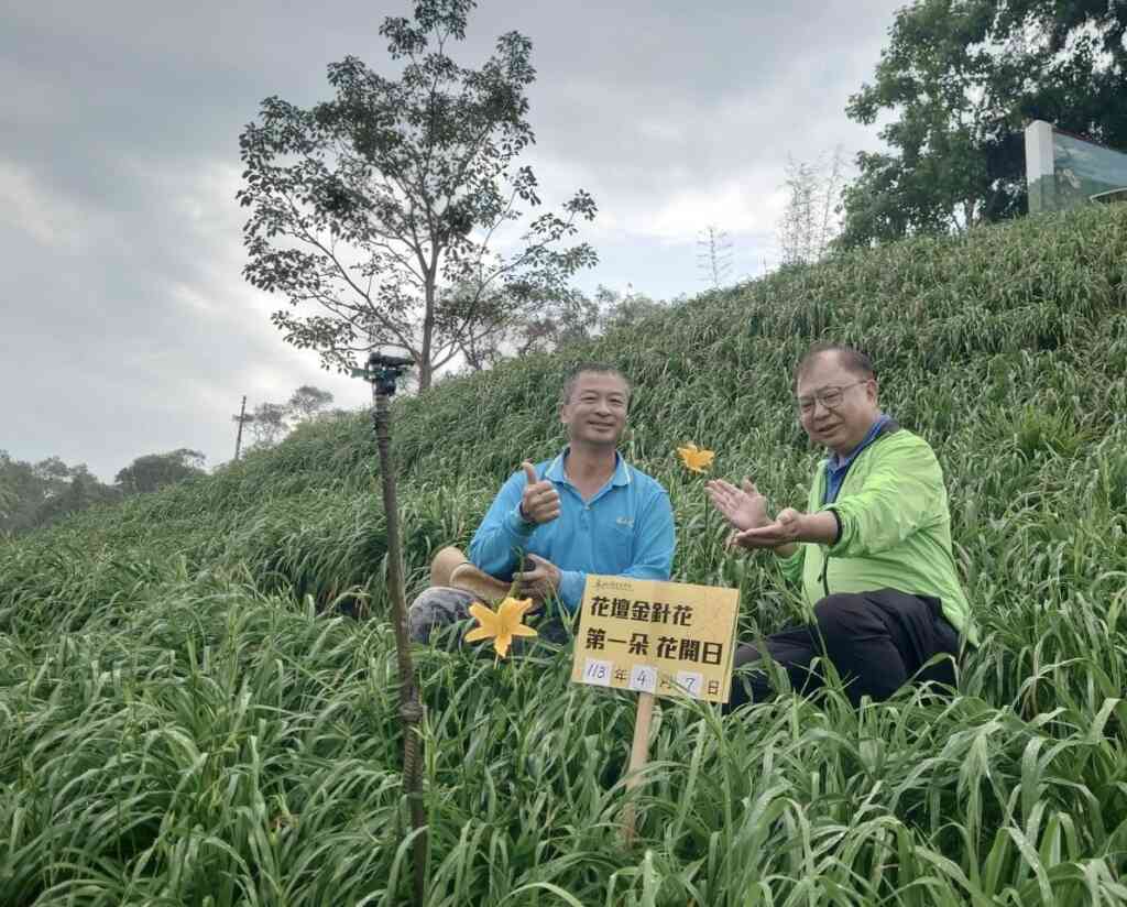 ▲參山國家風景區管理處長曹忠猷說，近千人參與猜猜樂活動，不過猜對4月7日開第一朵花並不多，中獎率將大大提高，將抽出幸運猜對者，送出喔熊頸枕、金針花精油手工肥皂組等好禮。（參山處提供）
