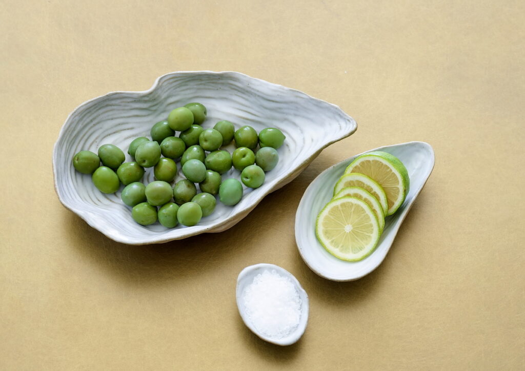 Shell pale grey貝殼造型盤食器j