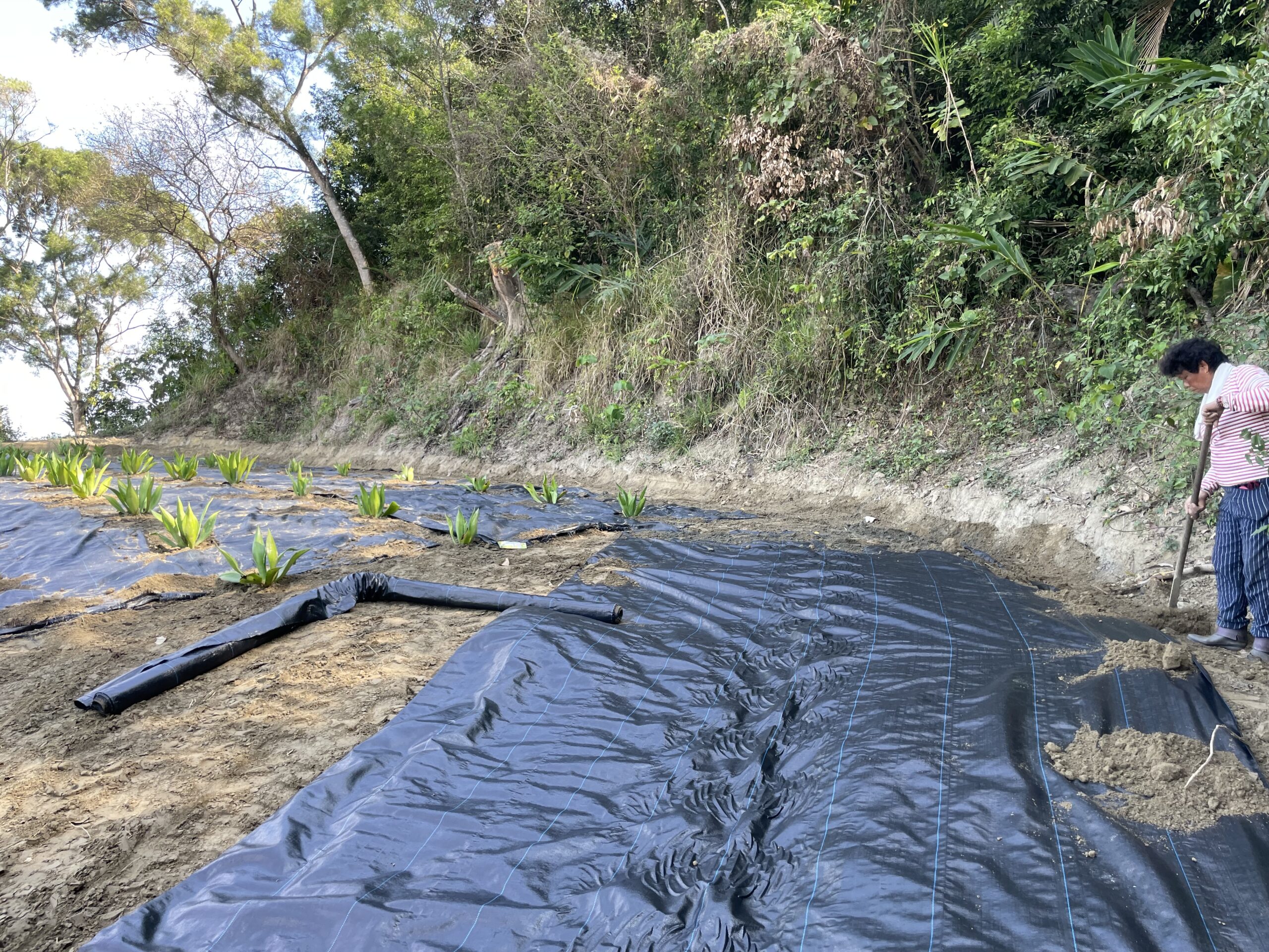 坡地整理要申請 齊心護山顧村里