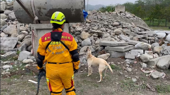 搜救犬 台中市消防局