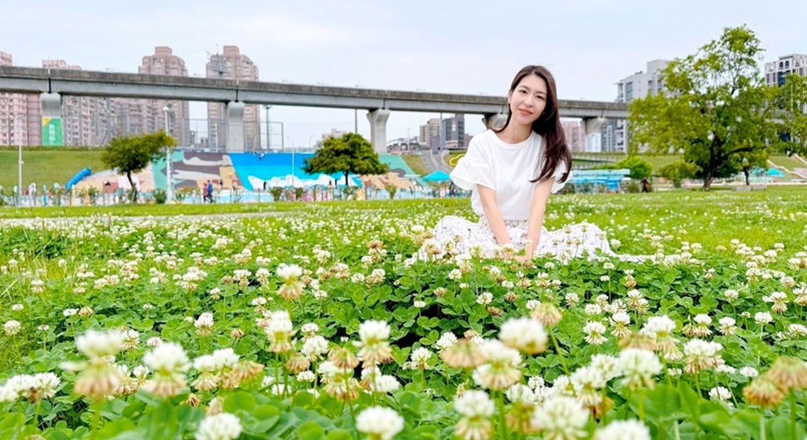 春日白雪灑落新北大都會公園 「白花三葉草」綻放邀民眾共享幸福