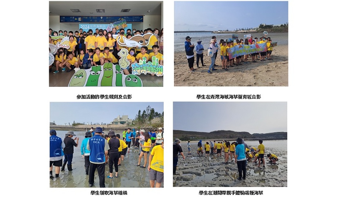 復育海草動手做 澎湖中小學師生新體驗