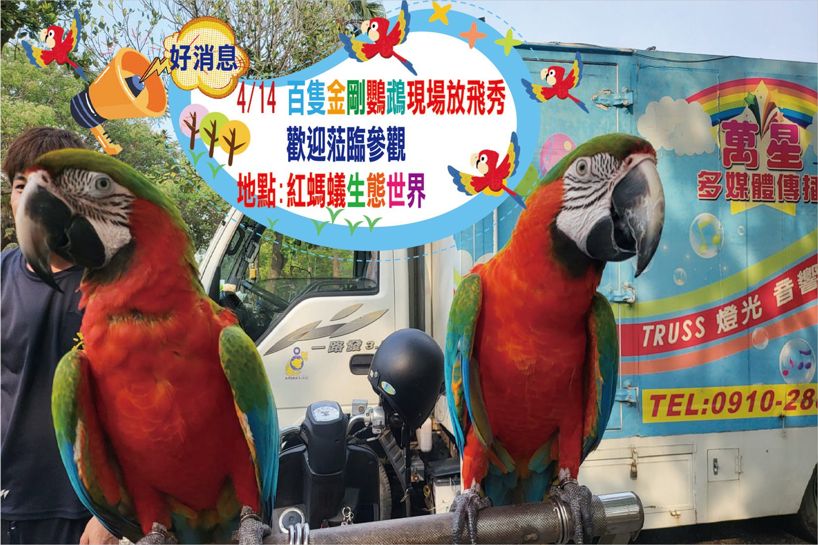紅螞蟻生態世界　百隻金剛鸚鵡放飛秀 4月14日啟動