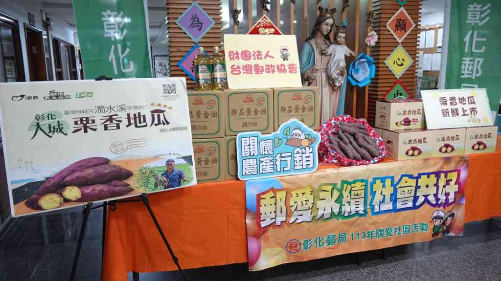 ▲今年首波大城栗香地瓜將於113年4月18日在i郵購開賣，也歡迎民眾踴躍訂購，也一起做公益。（記者林明佑攝）