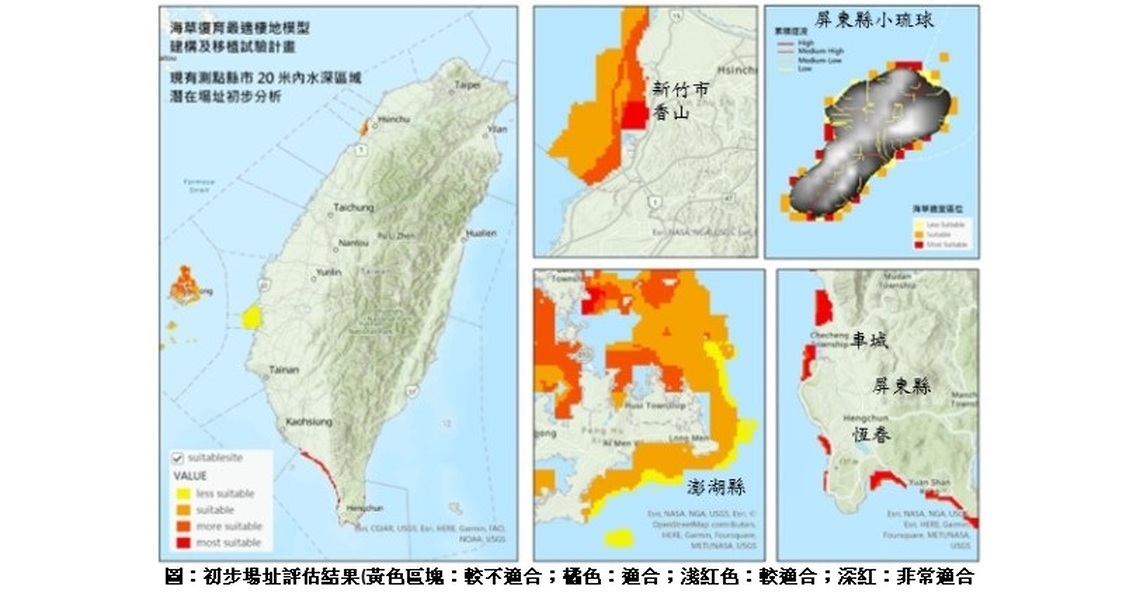 海洋藍碳復育從選點做起 經評估澎湖縣最佳