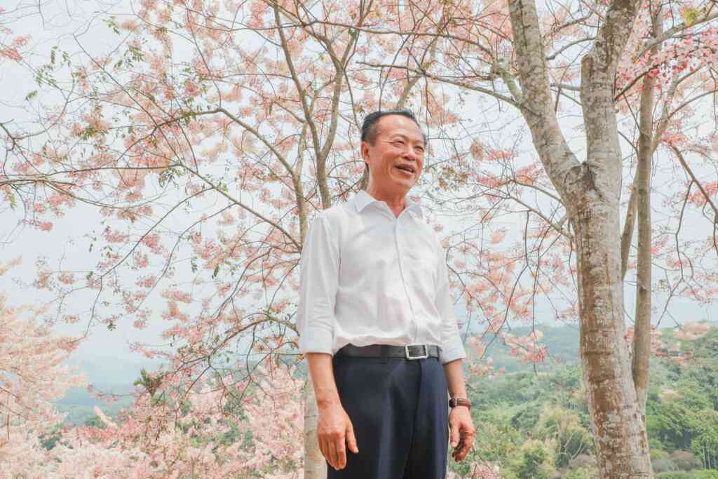 ▲嘉義縣長翁章梁說，進到粉紅村之前，就先在路旁兩側看見滿開的粉紅花旗木，景色美麗動人。（嘉義縣政府提供）