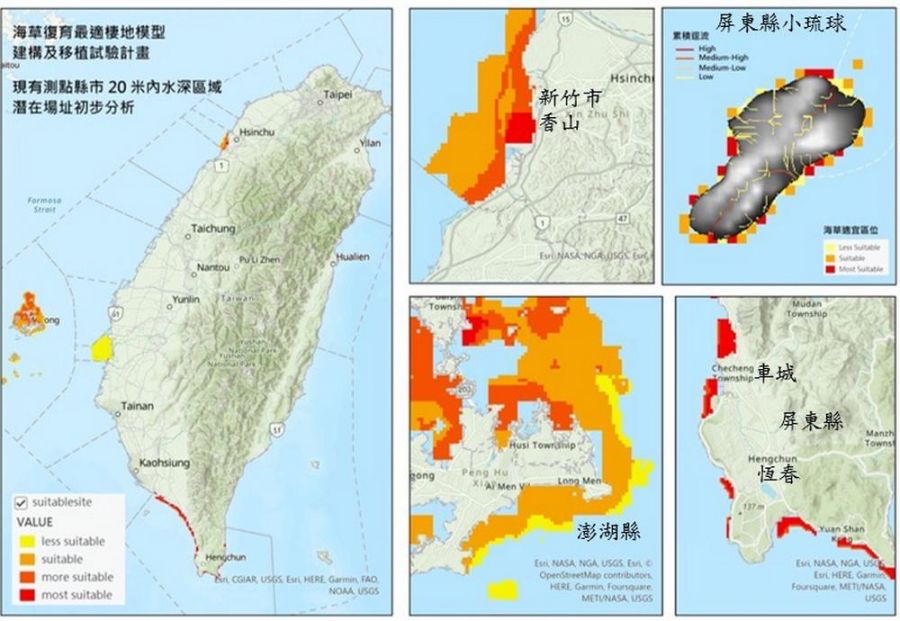 海洋藍碳復育從選點做起 經評估澎湖縣最佳