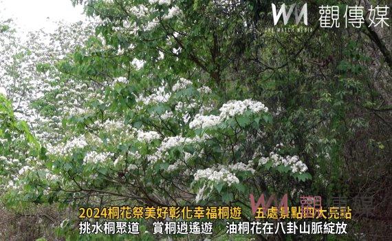 （有影片）／2024桐花祭美好彰化幸福桐遊　五處景點四大亮點　歡迎來賞桐