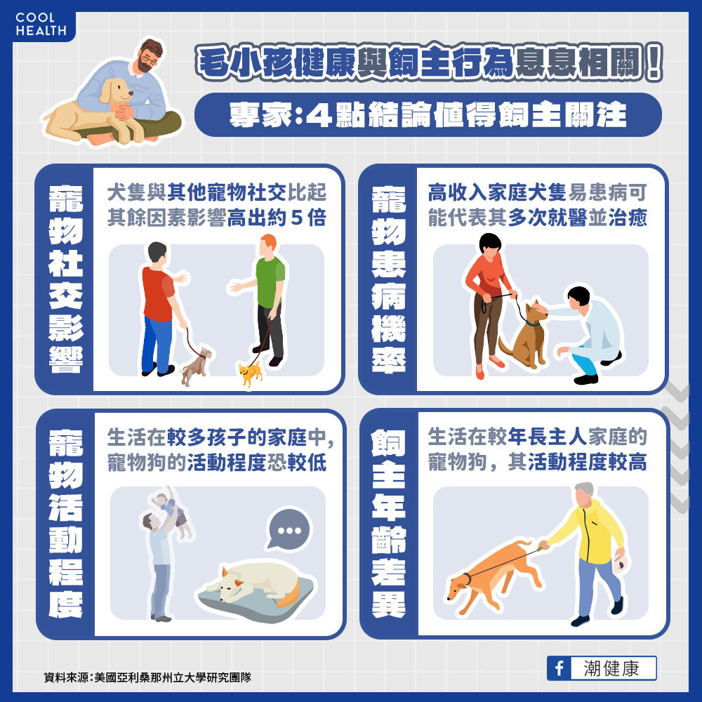 不只需要主人陪伴! 寵物狗與其他毛孩「社交」超重要? 不只需要主人陪伴! 寵物狗與其他毛孩「社交」超重要?