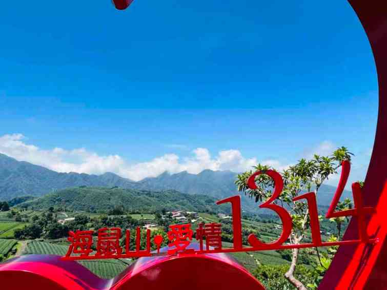 ▲從「海鼠山1314觀景台」欣賞360度茶園美景，還能東望草嶺大崩山，向南俯瞰瑞峰村全景（嘉義縣政府提供）