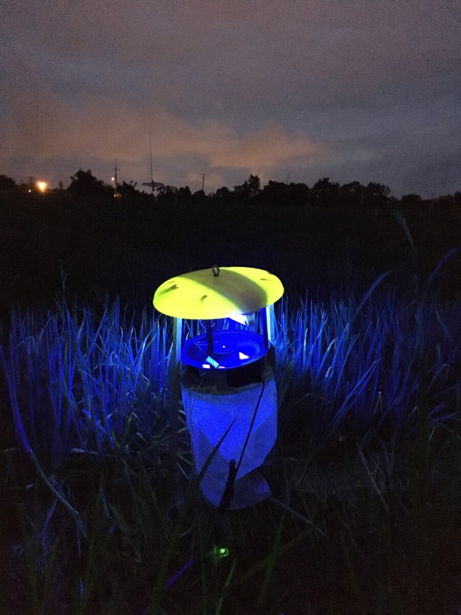 ▲夜間燈光誘集甜菜夜蛾成蟲可壓制成蟲密度。
