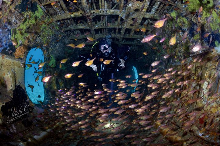 4/19-4/21台灣國際潛水展 潛進菲律賓 開箱深海寶藏