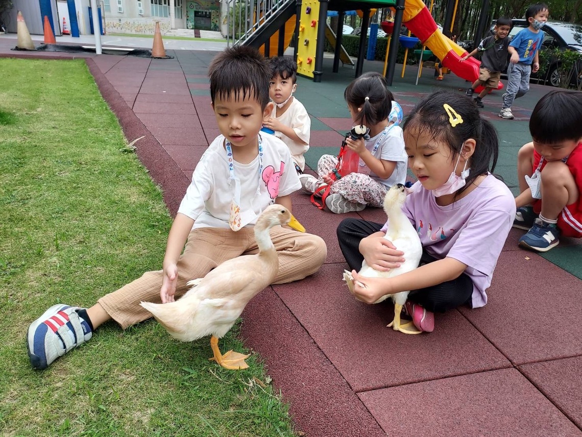 漾新聞|大手攜小手打造 裕誠幼兒園成了「養鴨人家」