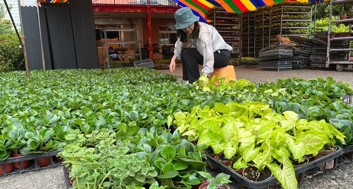 響應世界地球日 中油贈送民眾樹苗一起淨零減塑 森愛地球