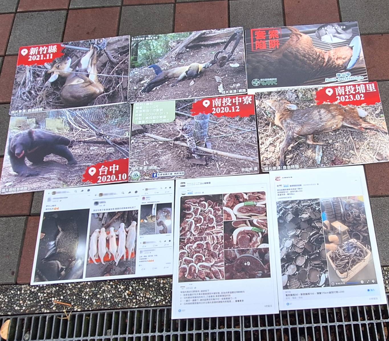 ▲現場提供大量資料照片,顯示殘忍陷阱造成野生動物受傷、死亡,野生動物肉品交易猖獗。